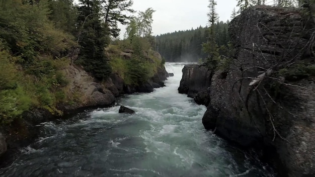 A river flows through a rocky canyon with trees in the background.