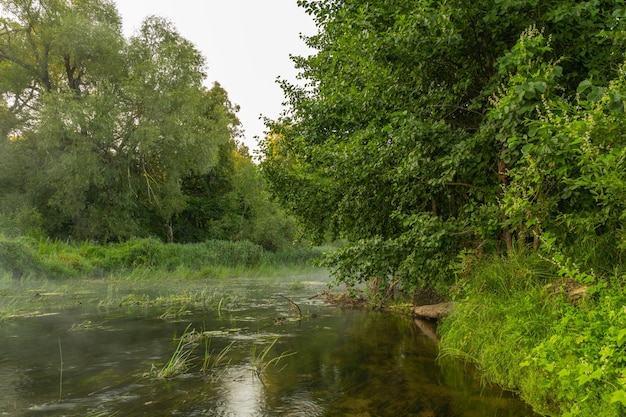 The river is covered with morning fog at sunrise surrounded by a dense green forest Wild nature Active weekend vacations wild nature outdoor