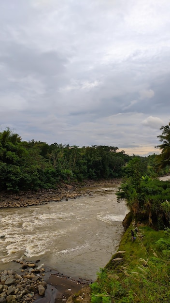 A river in the jungle with a cloudy sky