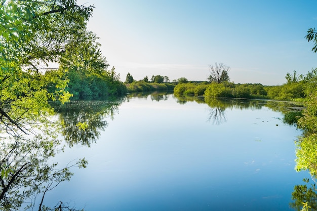 River landscape and green forest with trees blue water clouds on sky