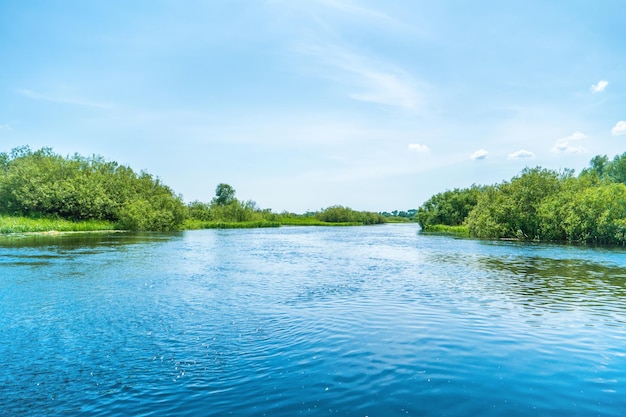 River landscape and green forest with trees blue water clouds on sky