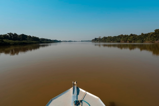 River landscape and junglePantanal Brazil