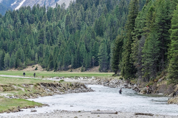 River in the landscape