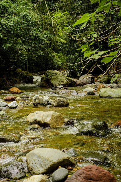 River of little flow with many stones and vegetation around