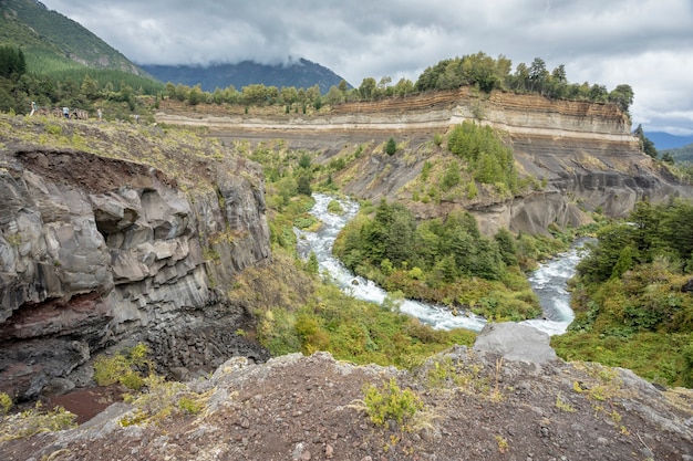 River in the middle of the Andean Patagonian forest