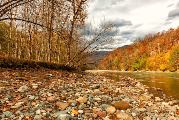 A river among the mountains covered with forest in autumn