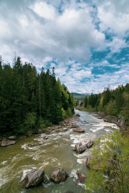 River in the mountains. Landscape of Carpathians.