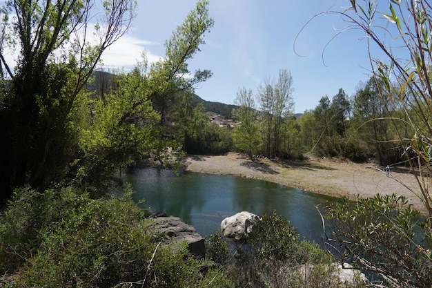 A river in the mountains with trees and a blue sky