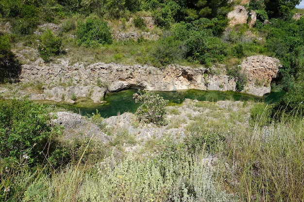 A river in the mountains with trees and bushes