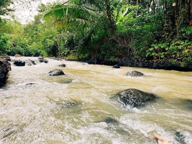 River in mountains wonderful springtime scenery of countryside