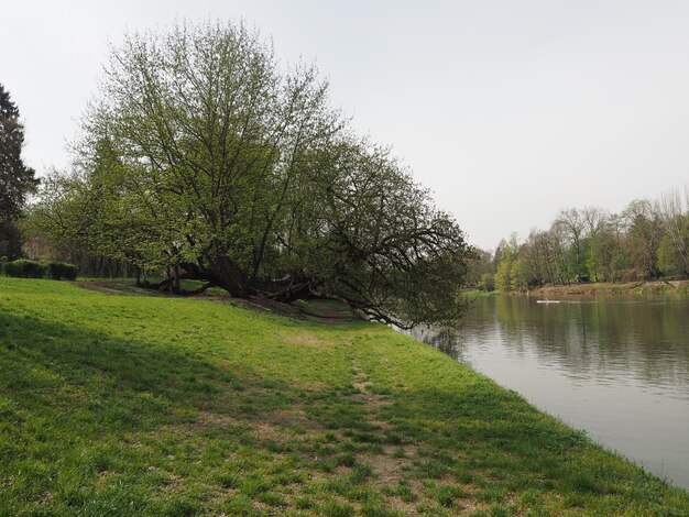 River Po in Turin