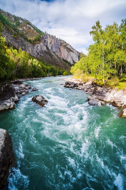 River Rapid on the Chuya River