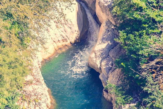 River among rocks and green trees