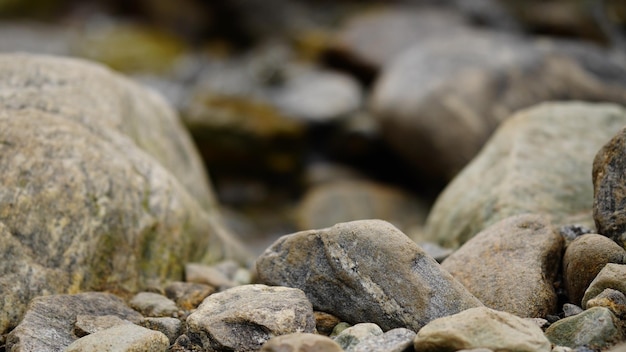 river rocks in uttarakhand closeup shot