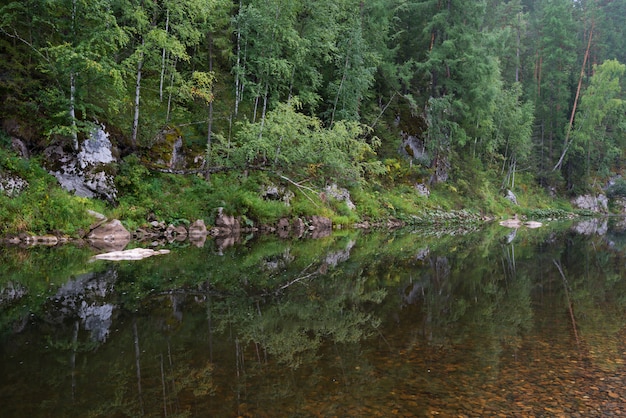 River among the rocks