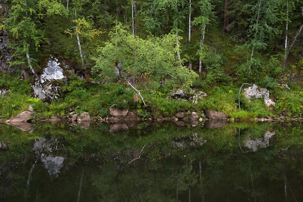 River among the rocks