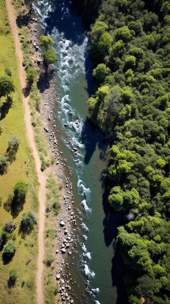 a river running through a lush green forest