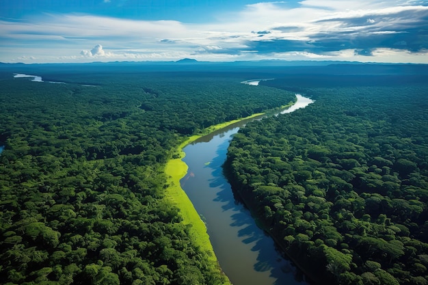 A River Running Through A Lush Green Forest