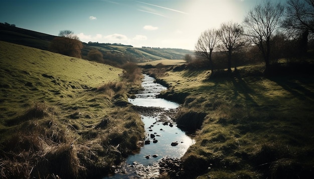 A river runs through a field with a green hill in the background.