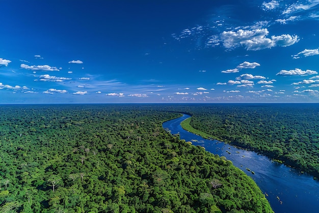 a river runs through a forest with a river flowing through it