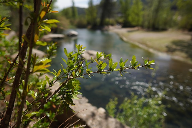 A river runs through the park.