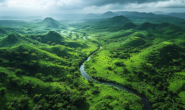 a river runs through a valley with mountains in the background