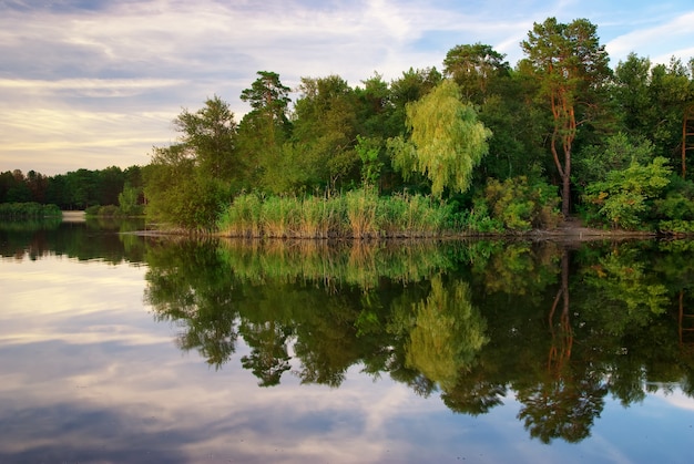 River and spring forest