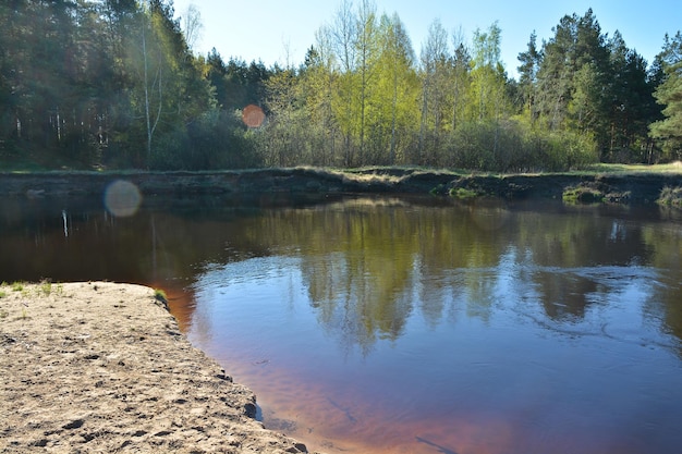 River spring landscape in the national Park Ryazan Meschera