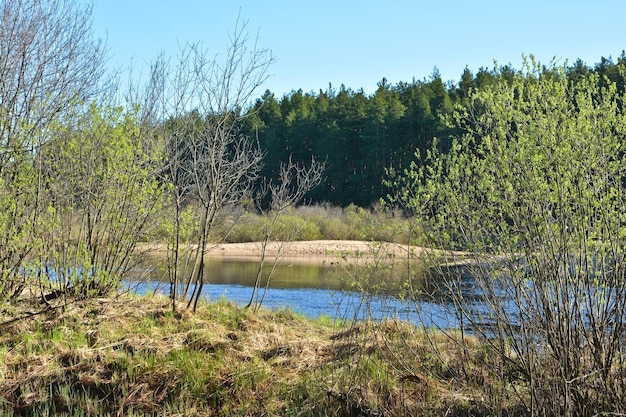 River spring landscape