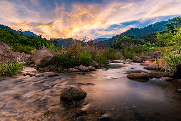 River stone and tree with sky and cloud colorful, View water river tree, Stone river and tree leaf in forest