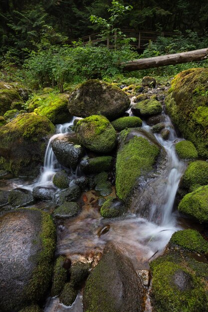 River stream in the natural canyon during the summer time Canadian Nature Background