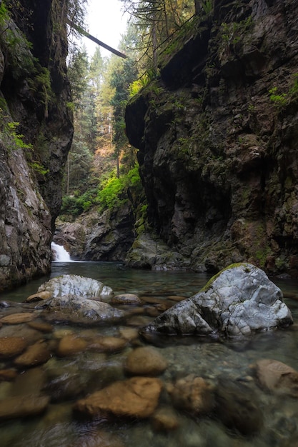 River stream in the natural canyon during the summer time Canadian Nature Background