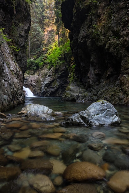 River stream in the natural canyon during the summer time Canadian Nature Background