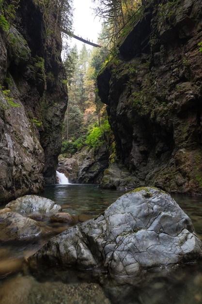 River stream in the natural canyon during the summer time Canadian Nature Background