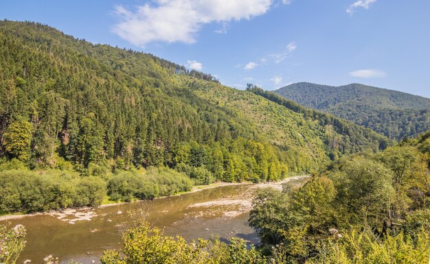 River in the summer wooded mountains on a sunny day A small river flowing between the mountains