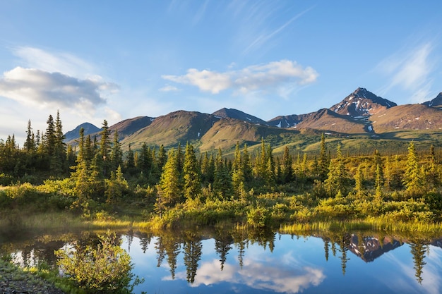 river in tundra on Alaska