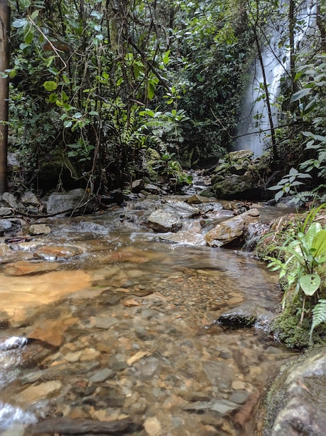 river view in the mountains