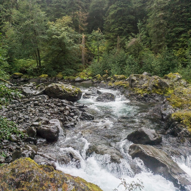 River and waterfall in Olympic NAtional Forest Washington State USA