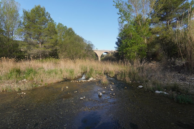 A river with a bridge in the background