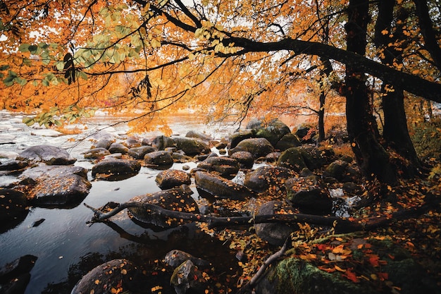 A river with large stones on the bank of an autumn forest Selective focus