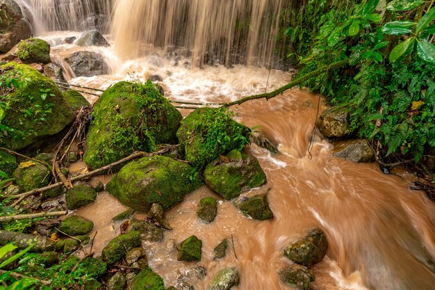 River with rain water in the rain forest