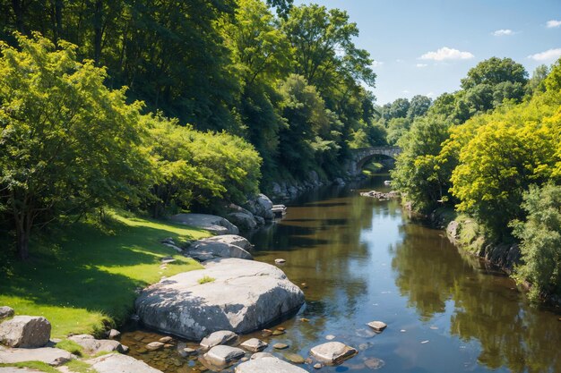 Photo a river with rocks and trees on the side