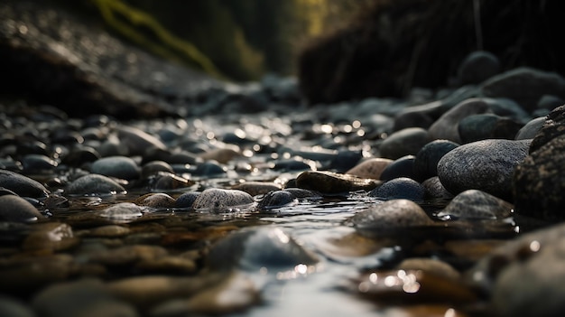 A river with rocks and water in the foreground