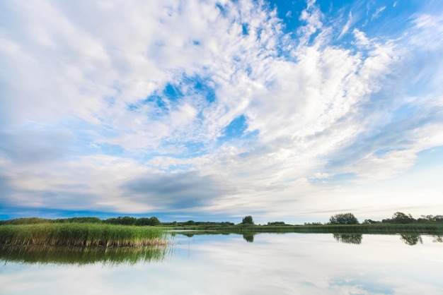 River with thickets of grass