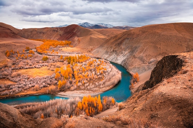 River with yellow autumn trees in Altai mountains Siberia Russia