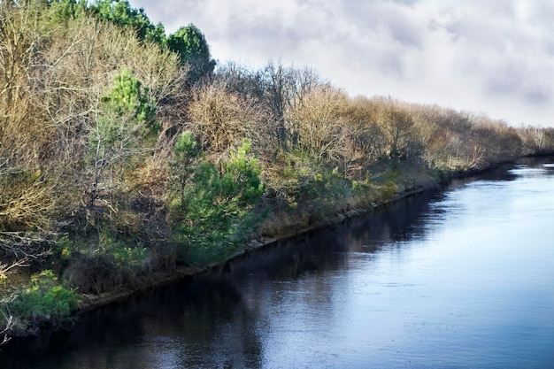 River and woods