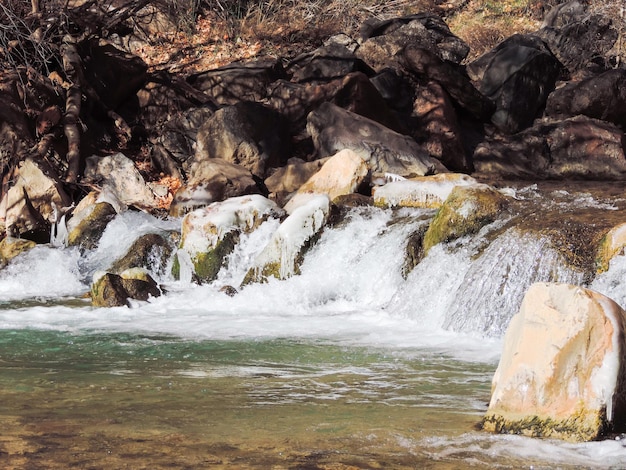 River in Zion National Park