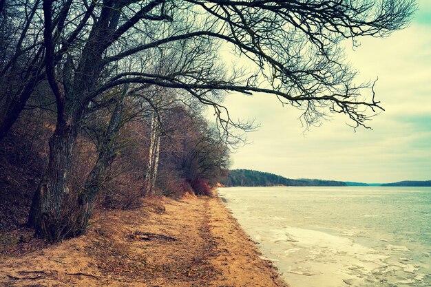 Riverbank in winter