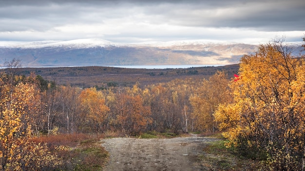 Road in Abisko National Park in polar Sweden in golden autumn