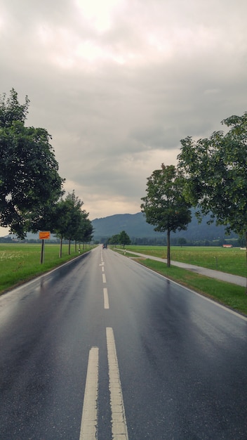 Road after rain